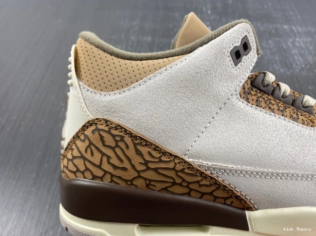 Kicktheory 3 Air Jordan Palomino CT8532-102 0815